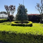 ویلا در ترکیه