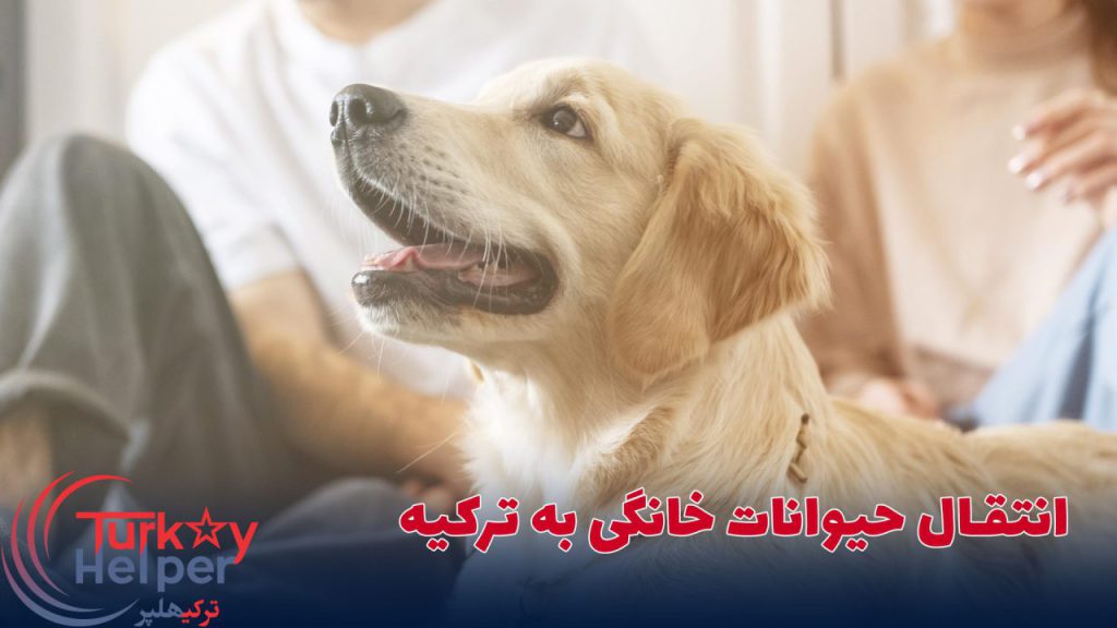 انتقال حیوانات خانگی به ترکیه